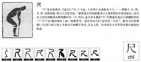 尺 字|尺字形演变字源